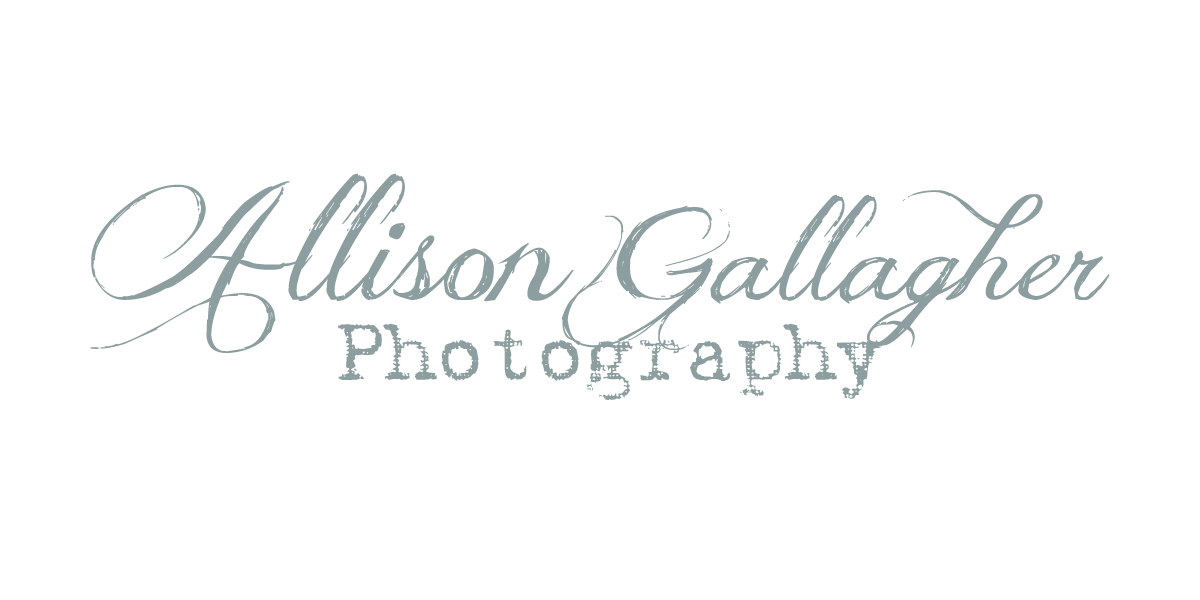 Allison Gallagher Photography